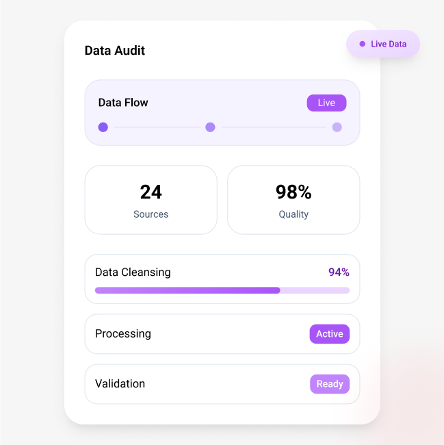 Data Audit & Preparation